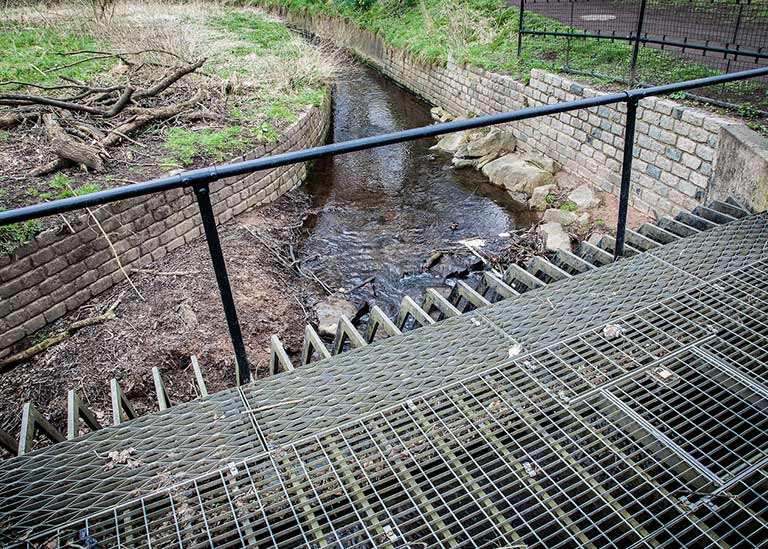 High Risk Debris Screen Programme 21/22