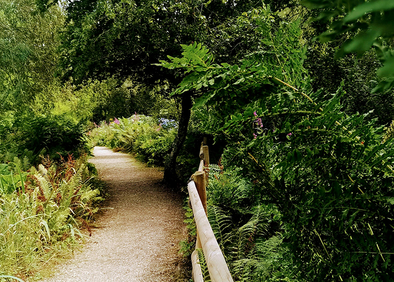 Summer days out that spark curiosity